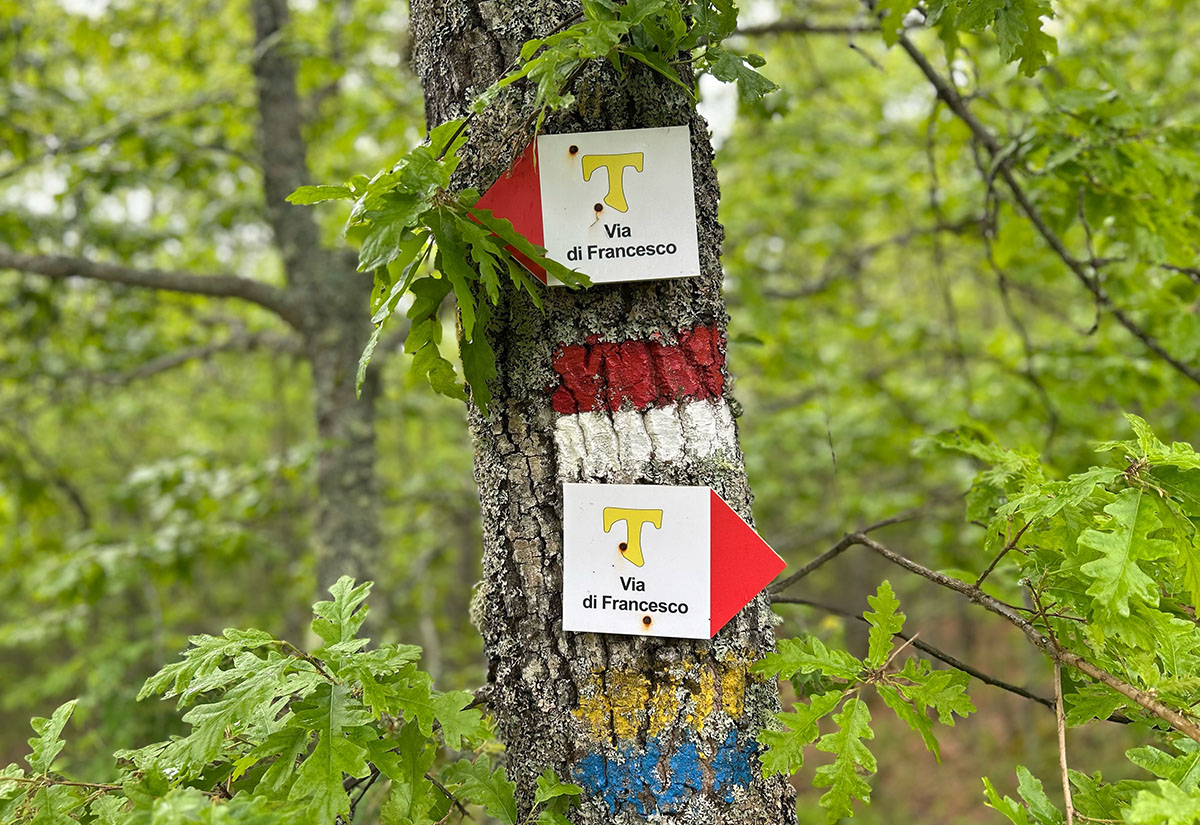 Das gelbe Franziskus-Kreuz weist den Weg – manchmal.