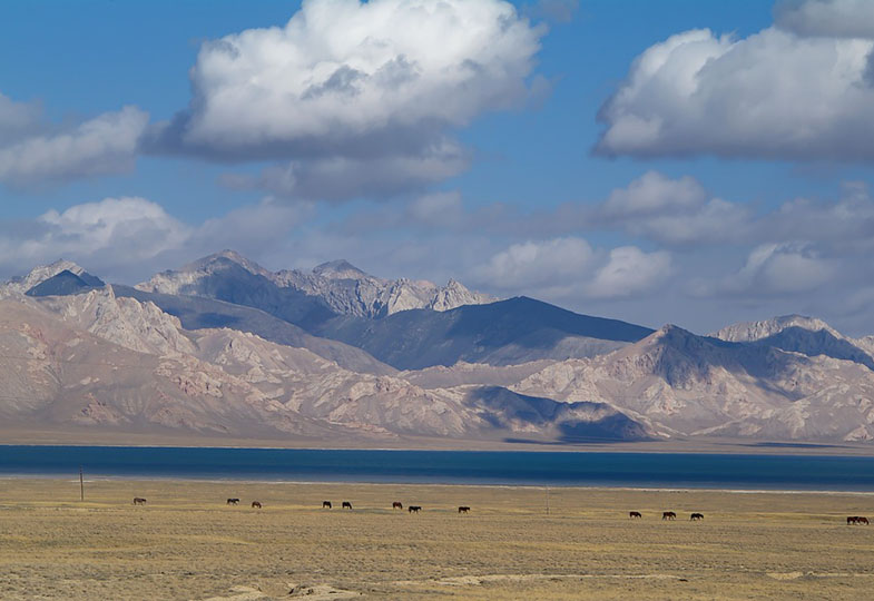 Steppe in Kirgisien