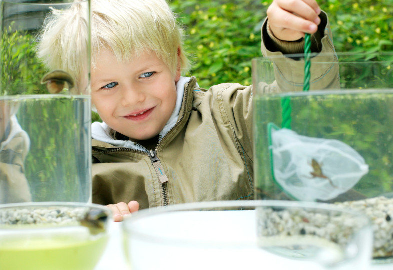Kind mit zwei Behältnisse mit Wasser und einer Kröte