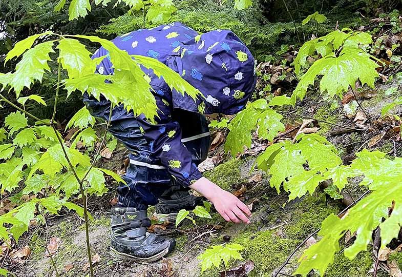 Kind mit Regenkleidung im Wald