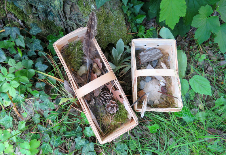 Zwei Körbe stehen auf einer Waldwiese und beinhalten unterschiedliche Naturmaterialien wie z.B. Tannenzapfen und Steine.