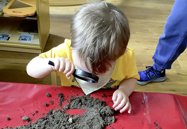 Der Alleskönner: In einem Projekt den Boden erkunden, bepflanzen und pflegen
