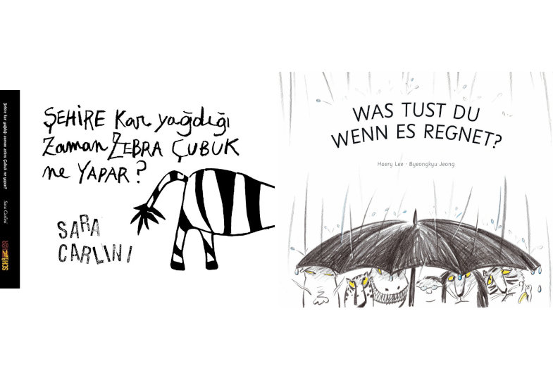 Titelseite Zebra Regen.