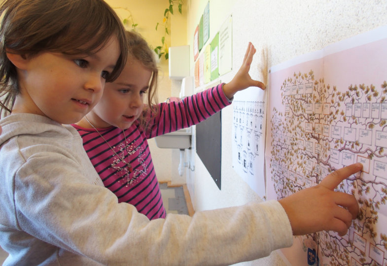 Zwei Kinder schauen einen Stammbaum an