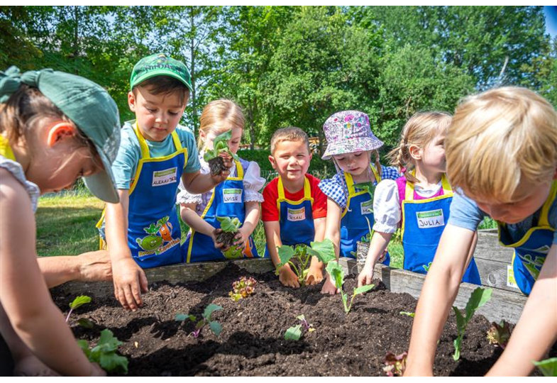 Kinder pflanzen Setzlinge in ein Hochbeet