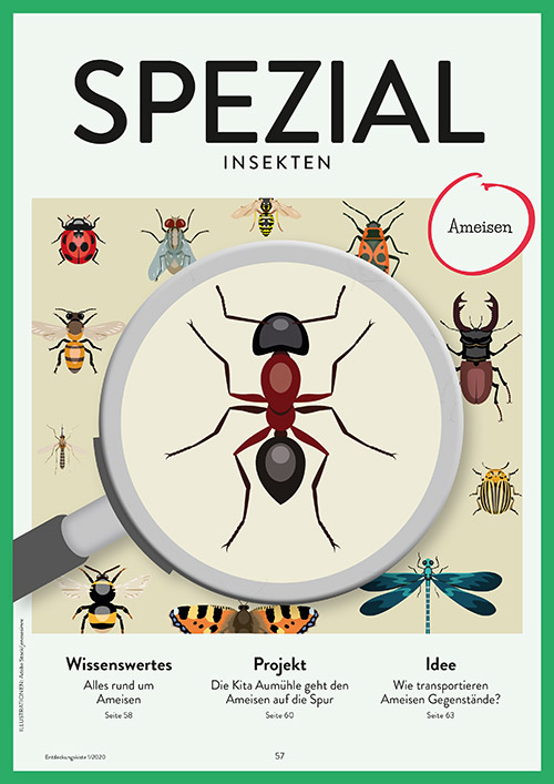 Entdeckungskiste 1/2020, SPEZIAL Insekten Ameisen
