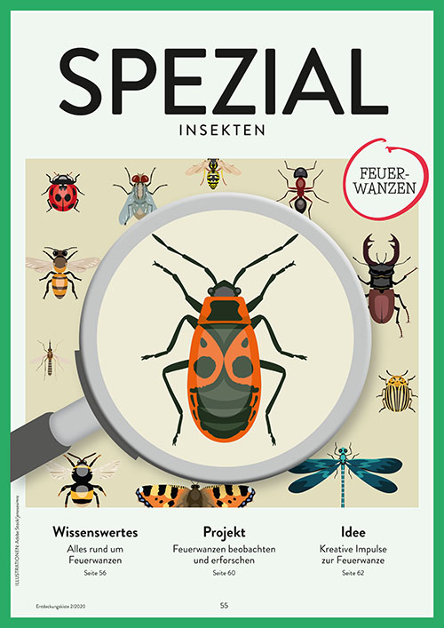 Titelseite Entdeckungskiste 2/2020 SPEZIAL