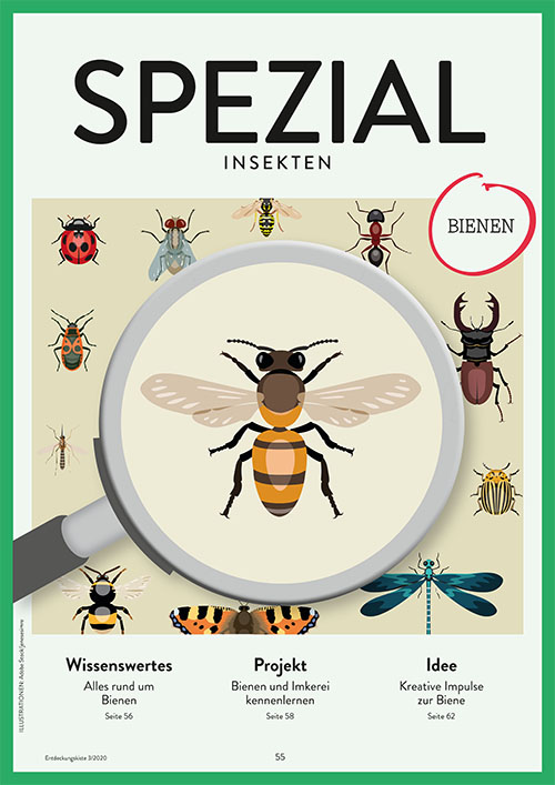 Entdeckungskiste 3/2020, SPEZIAL Insekten Bienen