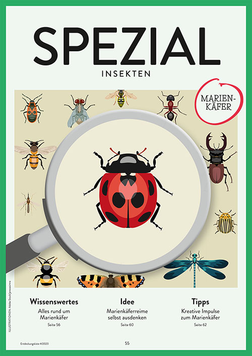 Titelseite Entdeckungskiste 4/2020 SPEZIAL
