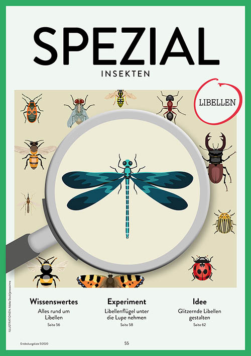 Entdeckungskiste 5/2020, SPEZIAL Insekten Libellen