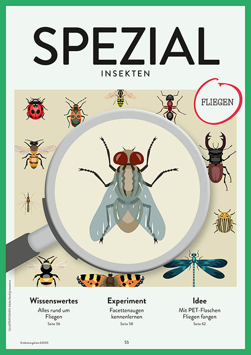 Titelseite Entdeckungskiste 5/2020 SPEZIAL