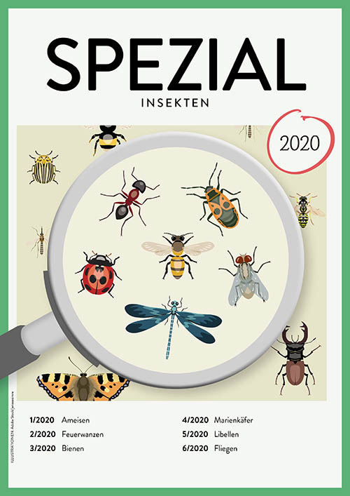 Entdeckungskiste 2020, SPEZIAL Insekten