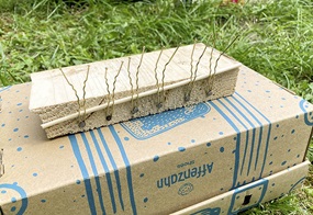 Auf einem Karton liegt ein Holzstück mit Nägeln und Haarnadeln dran.