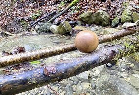 Eine Holzkugel rollt über zwei Äste, die über einen Fluss gelegt sind.
