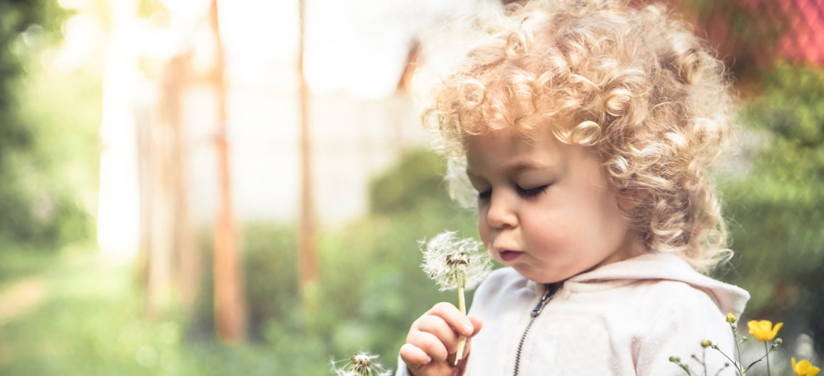 Kind pustet eine Pusteblume