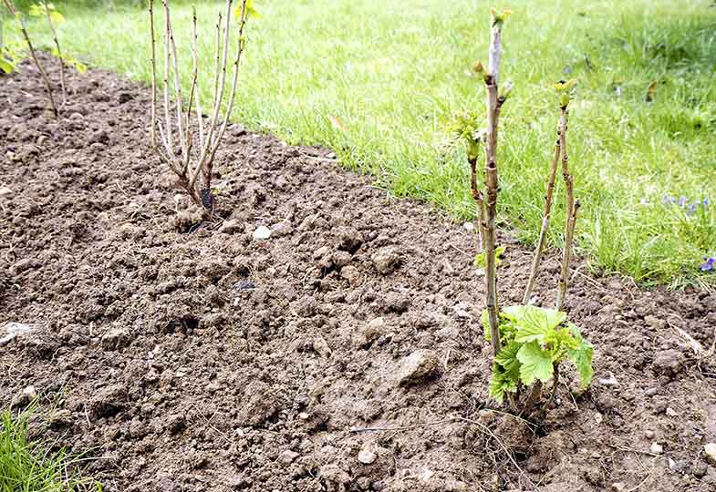 Gartenstück