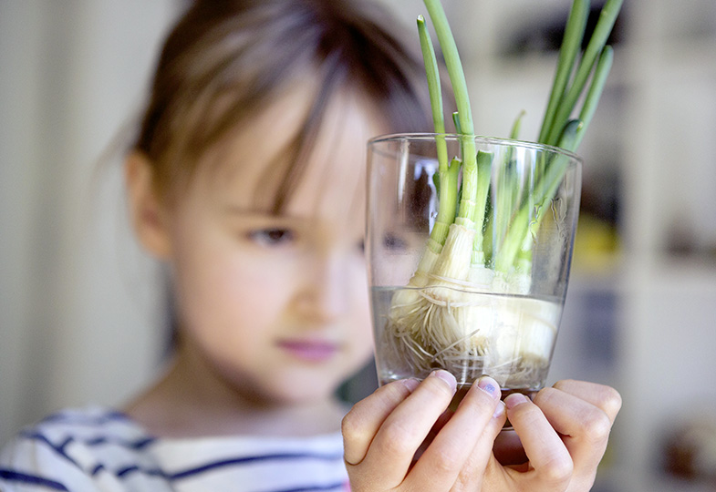 Kind schaut Setzlinge in einem Glas an