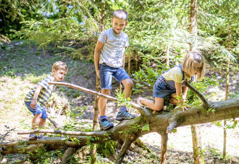 Kinder klettern auf Baumstamm