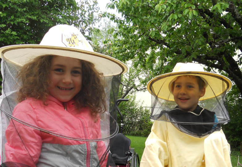 Honig, Wachs und Waben: Die wichtige Arbeit der Bienen erkunden