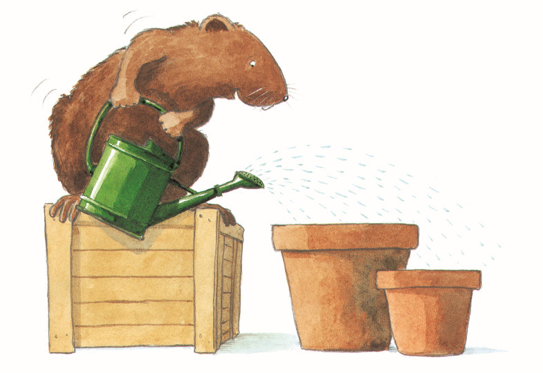 Illustration von Kasimir, wie er die Bohnen gießt