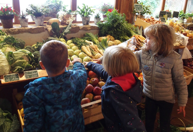 Blumenkohl, Kohlrabi, Pastinaken: In einem Hofladen erkunden die Kinder saisonales Gemüse