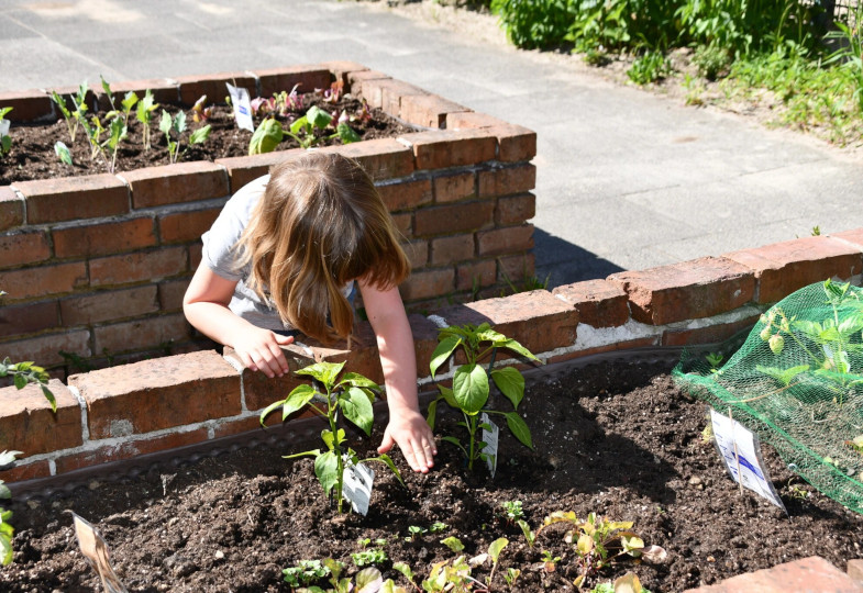 Ein Mädchen pflanzt eine Pflanze.