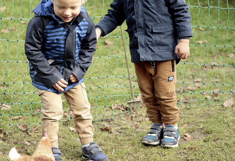 Kinder und Hühner