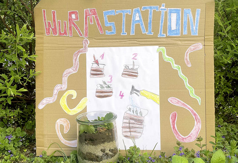 Miniaturlabor: Eine Wurmstation bauen und über längere Zeit beobachten