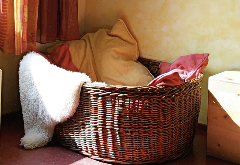 Korb mit Kissen und Decken