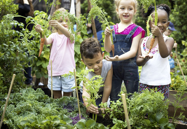 Biologische Vielfalt im Kita-Garten