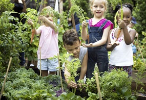 Vier Kinder stehen im Garten und halten jeweils eine frisch herausgezogene Karotte in die Höhe.