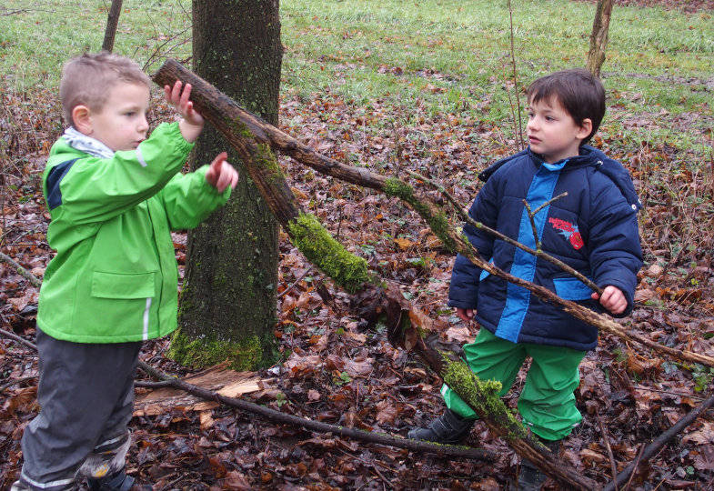 Im Wald suchen die Kinder nach Gegensätzen: Ein dicker und ein dünner Ast, …