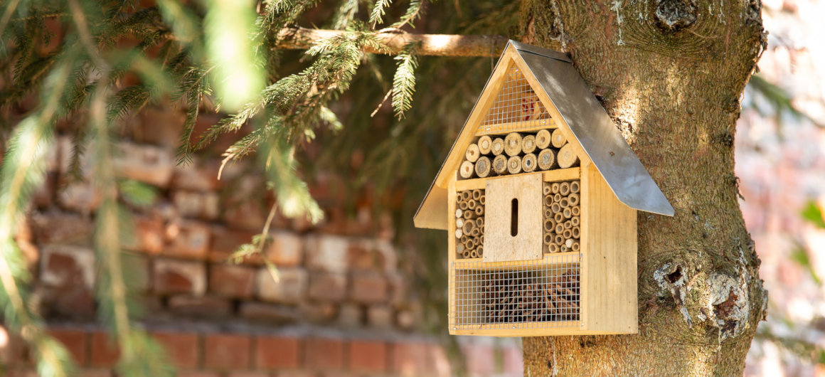 Futterhaus für Vögel an einem Baum