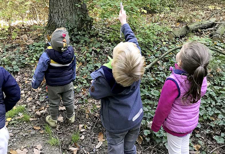 Kinder schauen im Wald in die Höhe