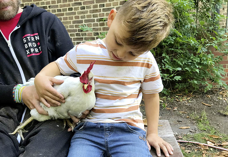 Ein Kind hält ein Huhn im Arm