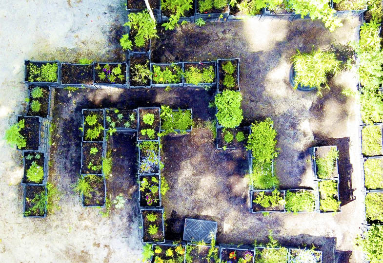 Vom Bolzplatz zum Pflanzenlabyrinth