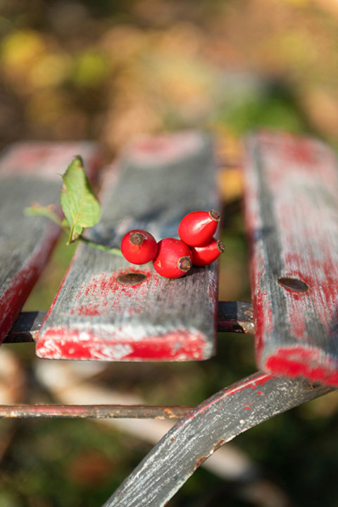 Abschied II: Texte der Zuversicht