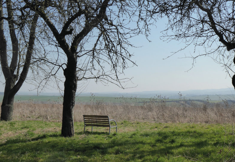 Allerschönste Aussichten