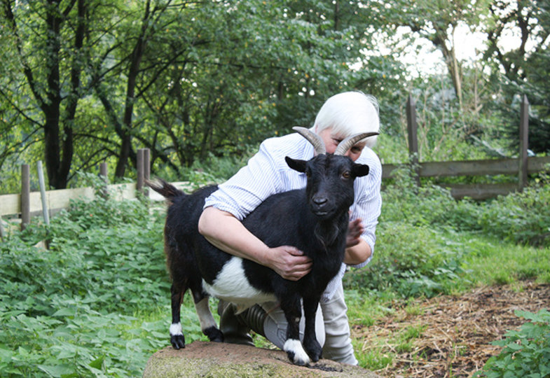 Hinter einer schwarz-weißen Ziege, sitzt eine Frau, die die Ziege sanft festhält.  