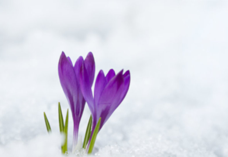 Erwartung und Vorfreude: Quellen der Lebensfreude