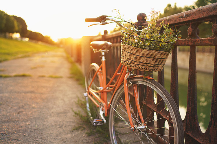 Ein rotes Fahrrad lehnt im Sonnenuntergang an einem Holzzaun. Im Korb liegt ein Strauß Wildblumen.