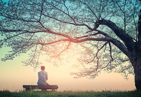 Person sitzt unter Baum auf Bank bei Sonnenuntergang 