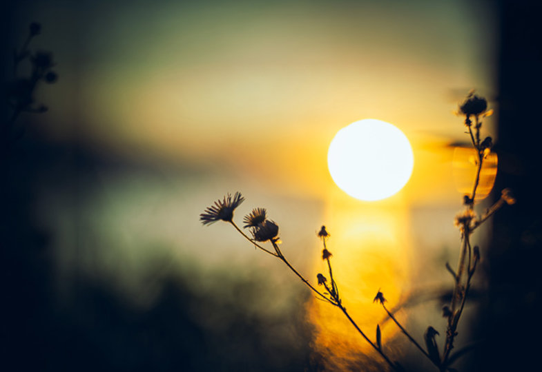 Komm Trost der Welt: Am Abend zu lesen