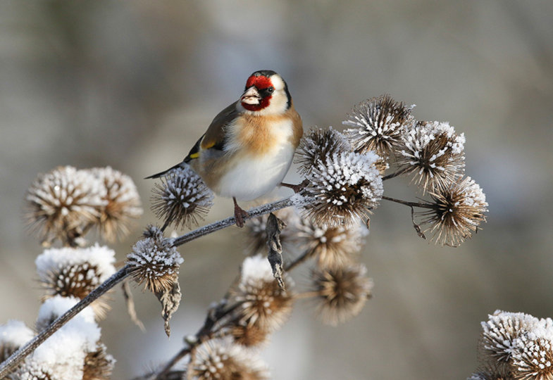 Mein tägliches Ritual