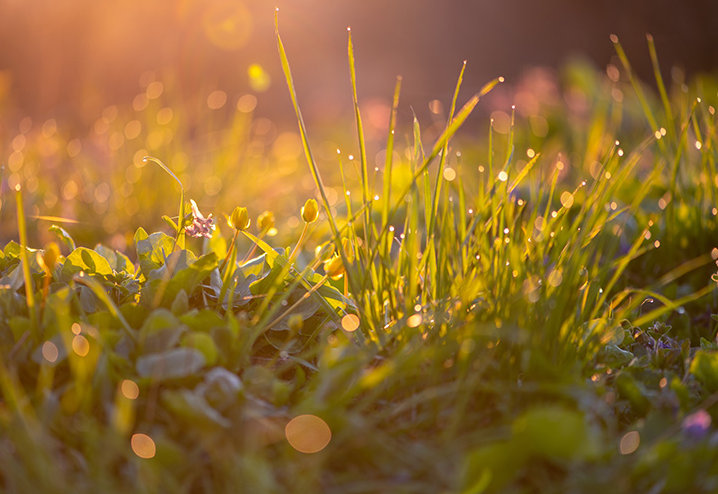 Mein tägliches Ritual: Die Morgensonne spüren