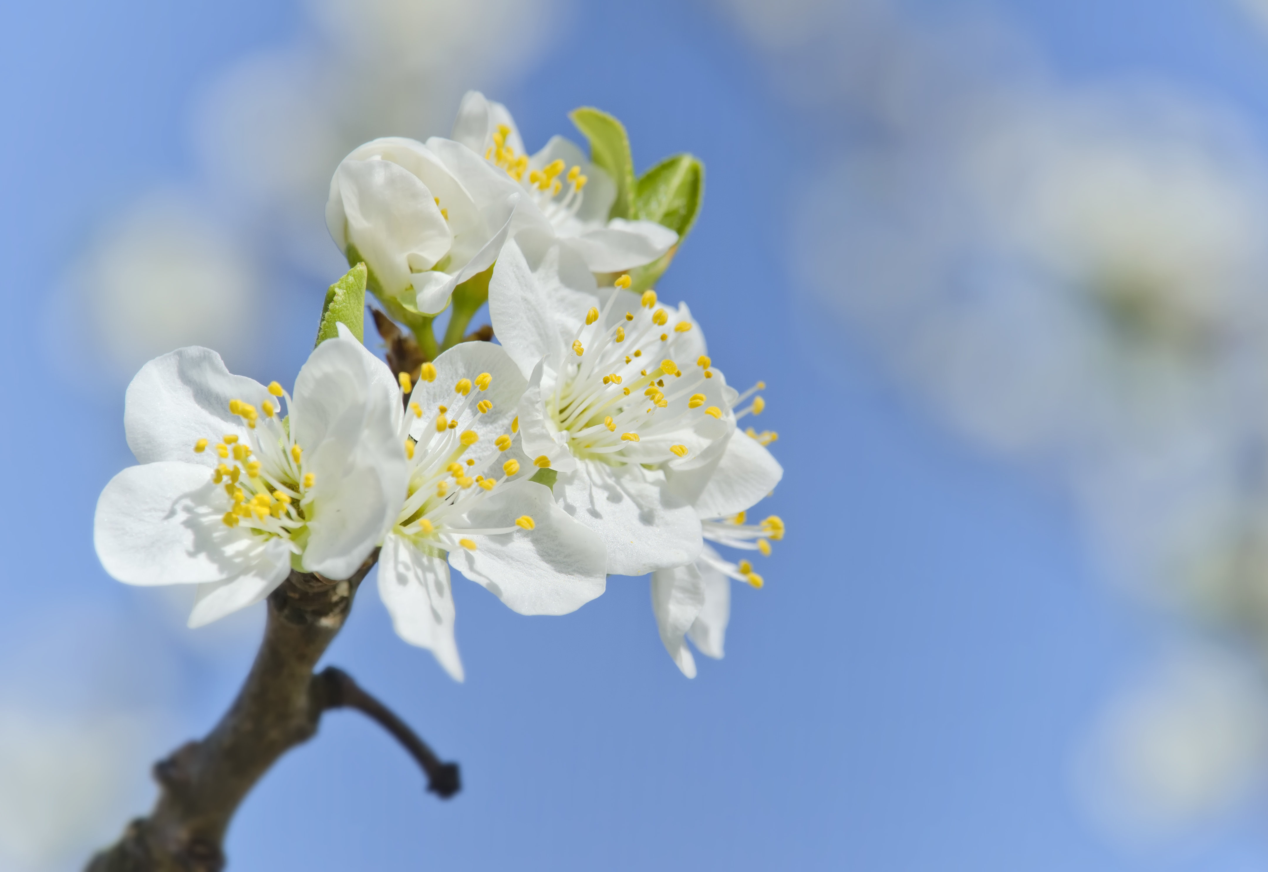 Neu anfangen: Was meinem Leben Richtung gibt