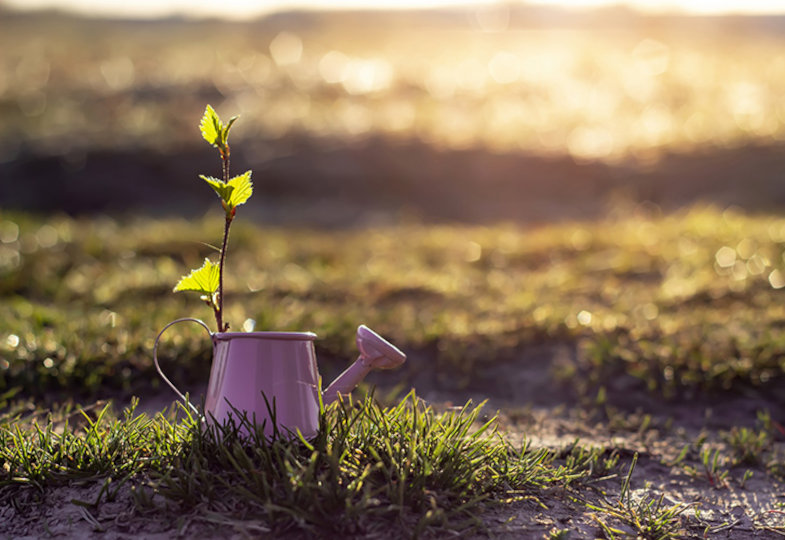 Positive Impulse im Alter: Einsichten, Motivationen und Entwicklungsschritte