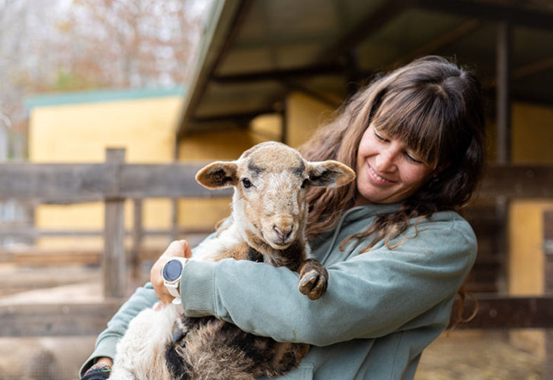 Vertraut – und doch anders