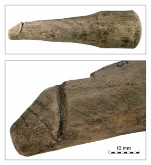 Nahaufnahme des vermeintlichen römischen Nähwerkzeugs