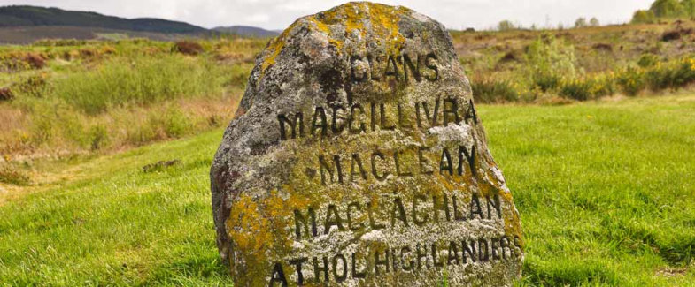 Gedenksteine auf einer Wiese